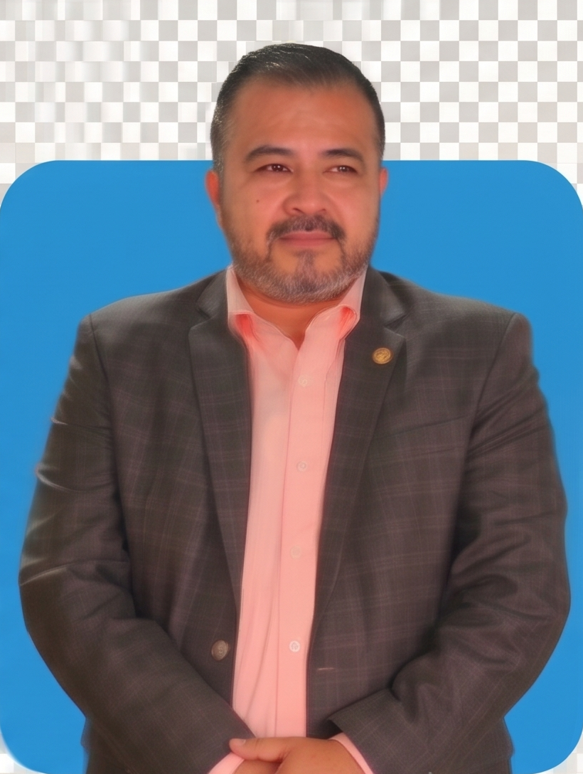 Diputado 2